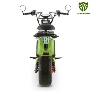 Scooter elettrico a doppio freno Citycoco