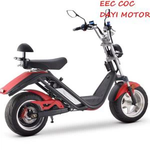 Scooter elettrico Citycoco con pneumatici grassi a due posti