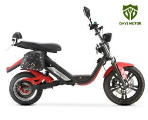 Scooter elettrico da bici 1500W