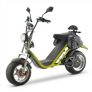 DAYI 25KM / H COC EEC Scooty elettrico Harley