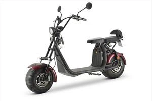 Scooter stand up per consegna cibo CEE 1000W 60V
